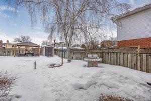  Photo 41