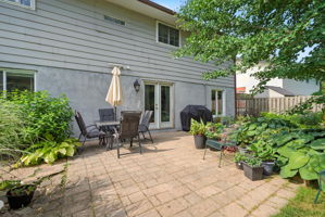  Photo 46