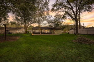 Dogwood Ave - VT-002