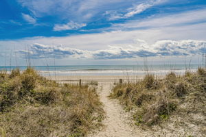  Photo 50