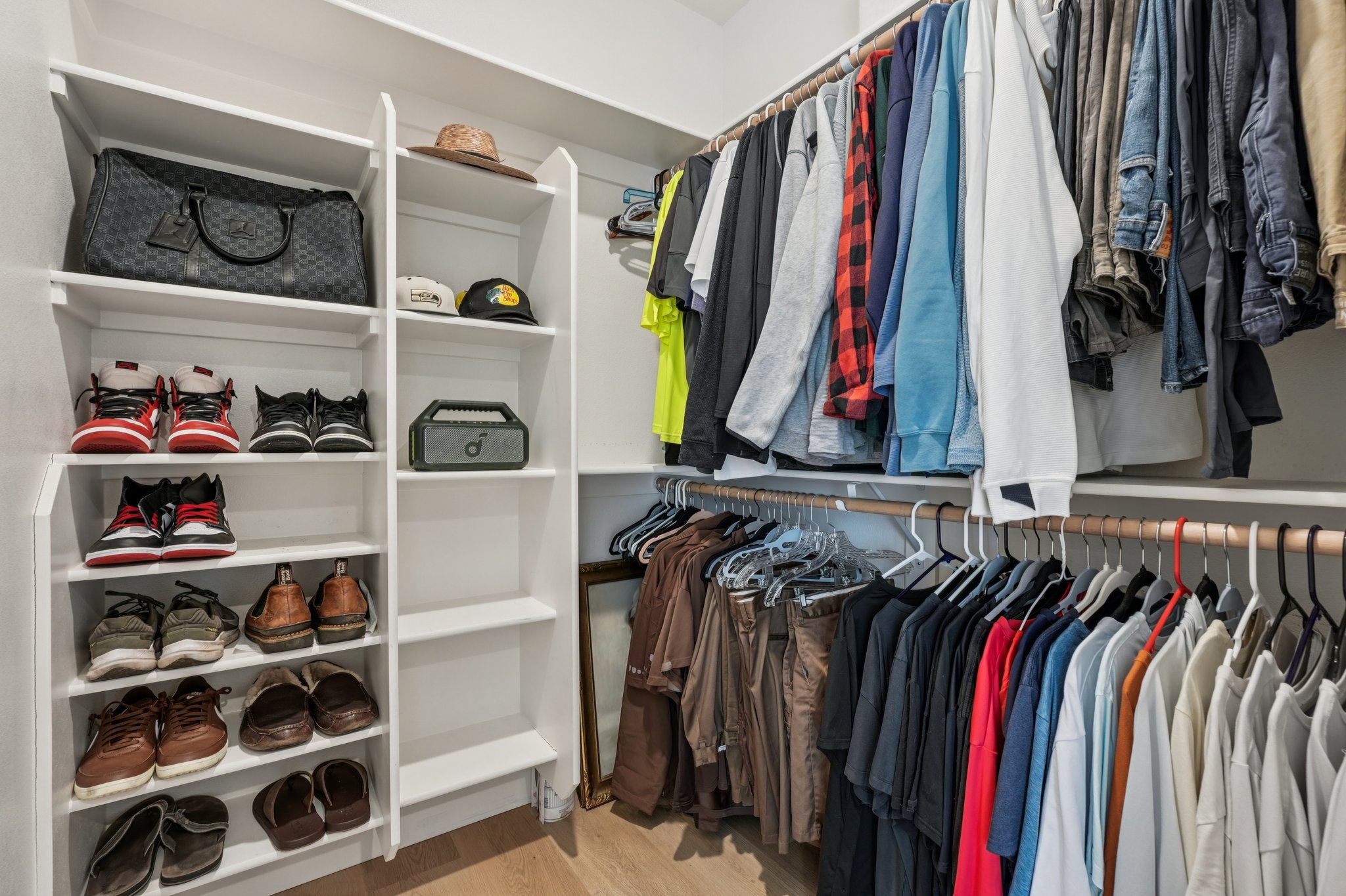 Tulip Ln-S1104-043.jpg