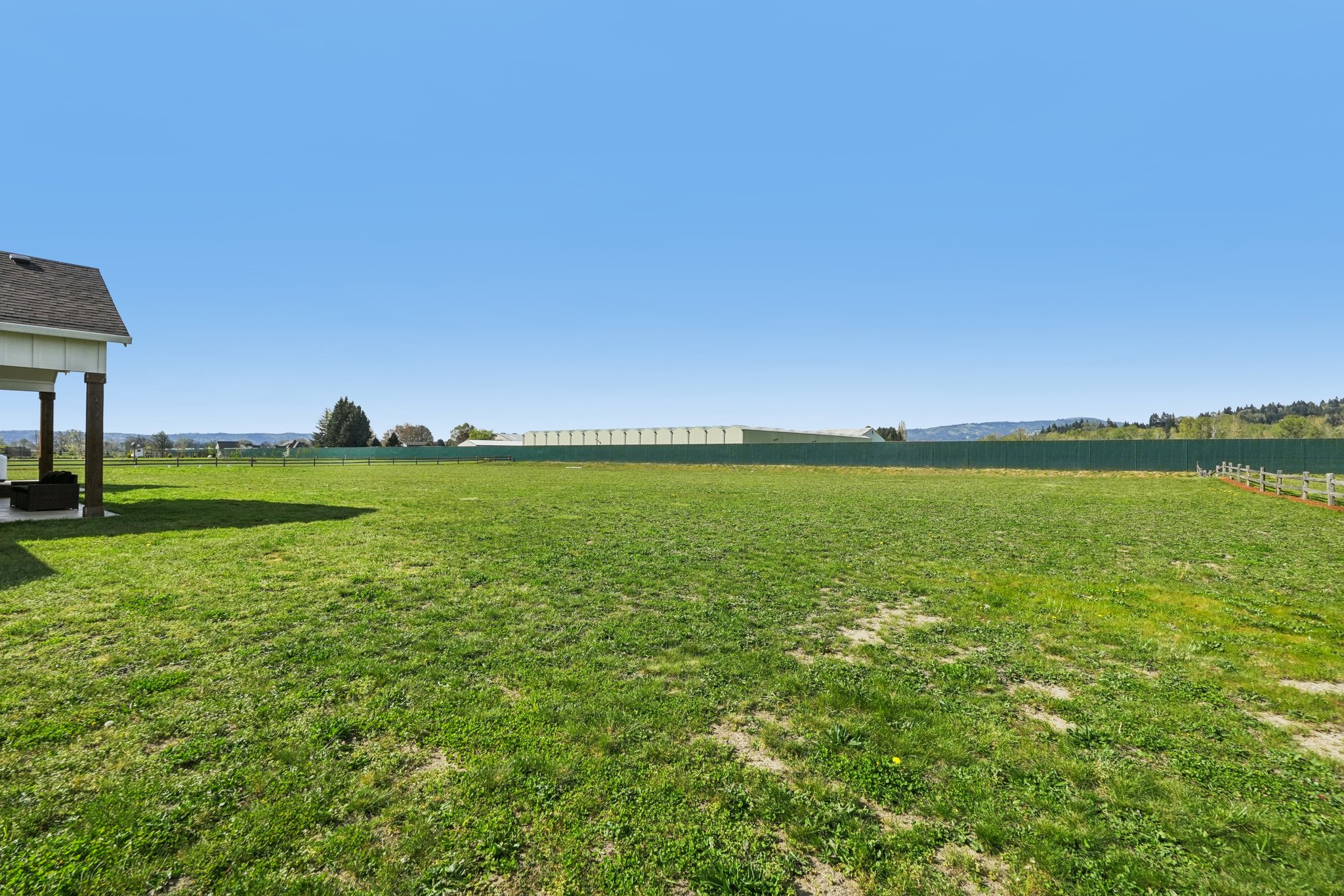 Tulip Ln-S1104-058.jpg