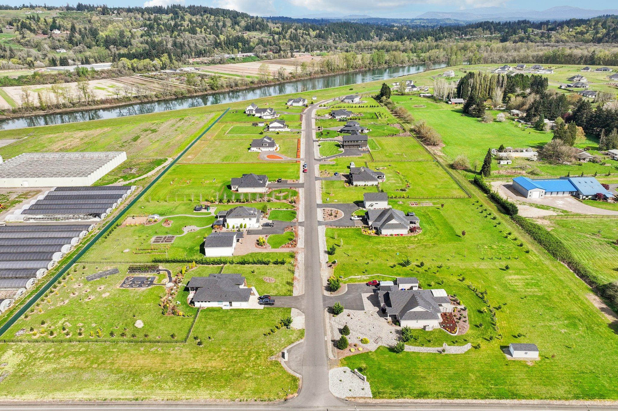 Tulip Ln-S1104-001 (2).jpg