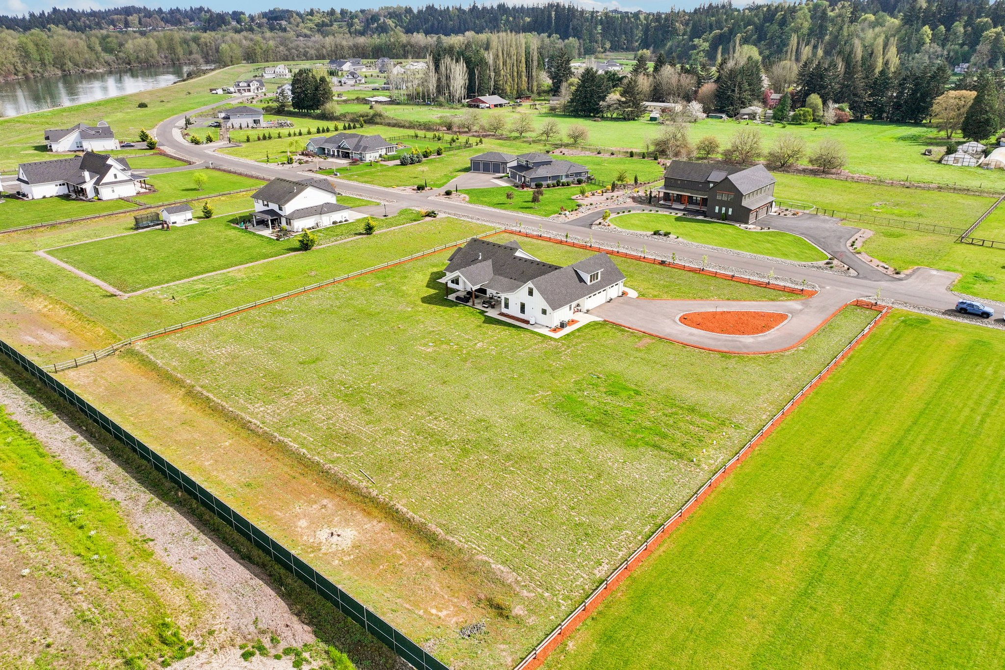 Tulip Ln-S1104-008 (2).jpg