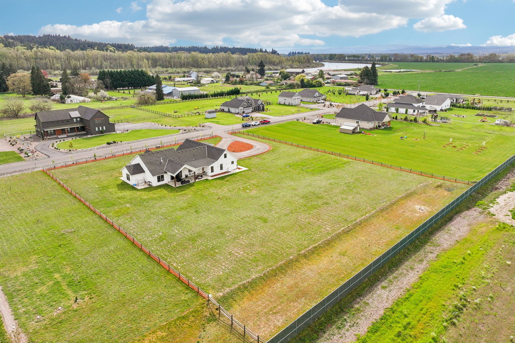 Tulip Ln-S1104-009 (2).jpg