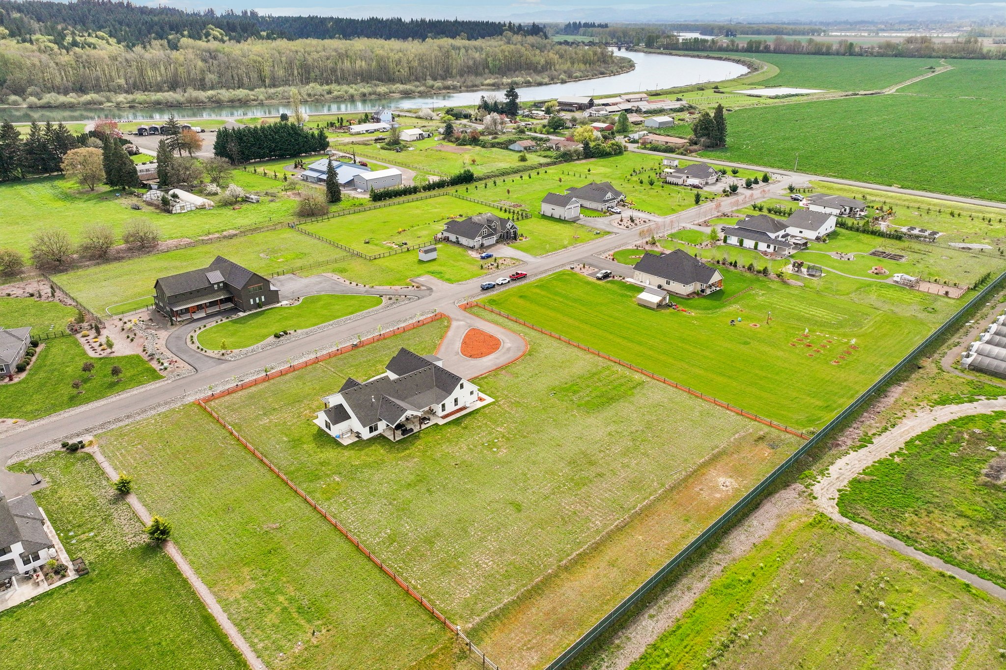 Tulip Ln-S1104-013 (2).jpg