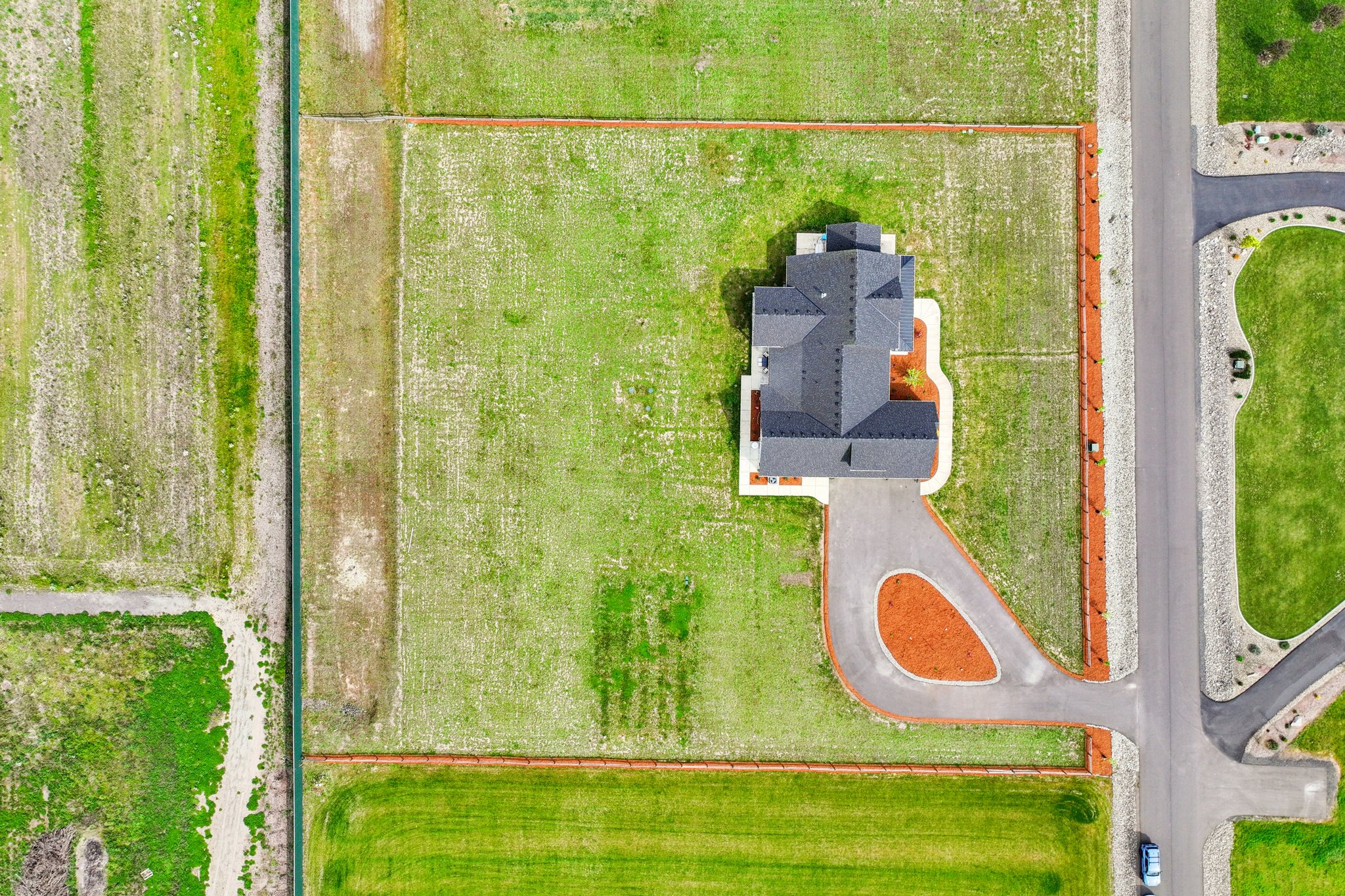 Tulip Ln-S1104-014 (2).jpg