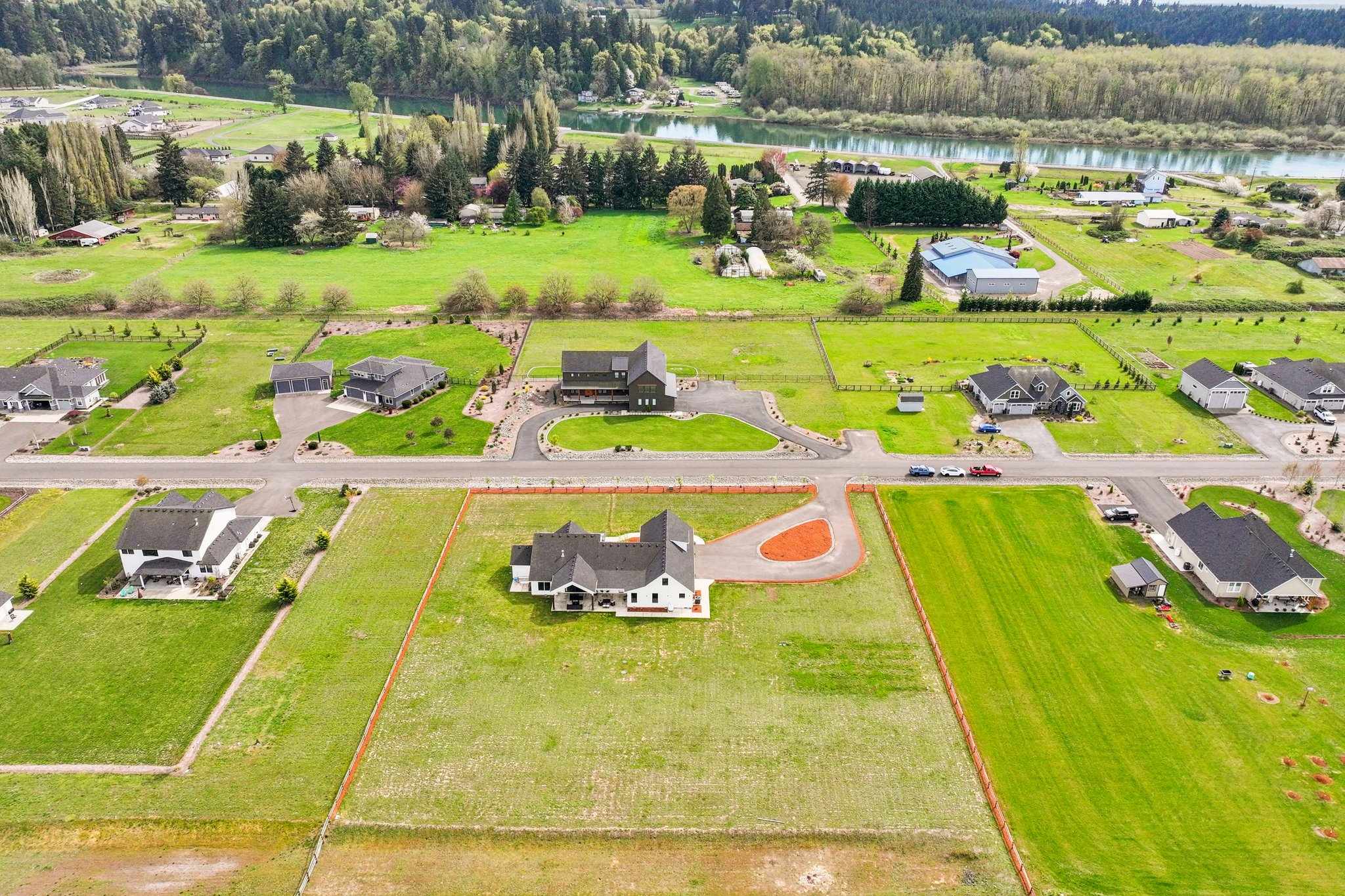 Tulip Ln-S1104-015 (2).jpg