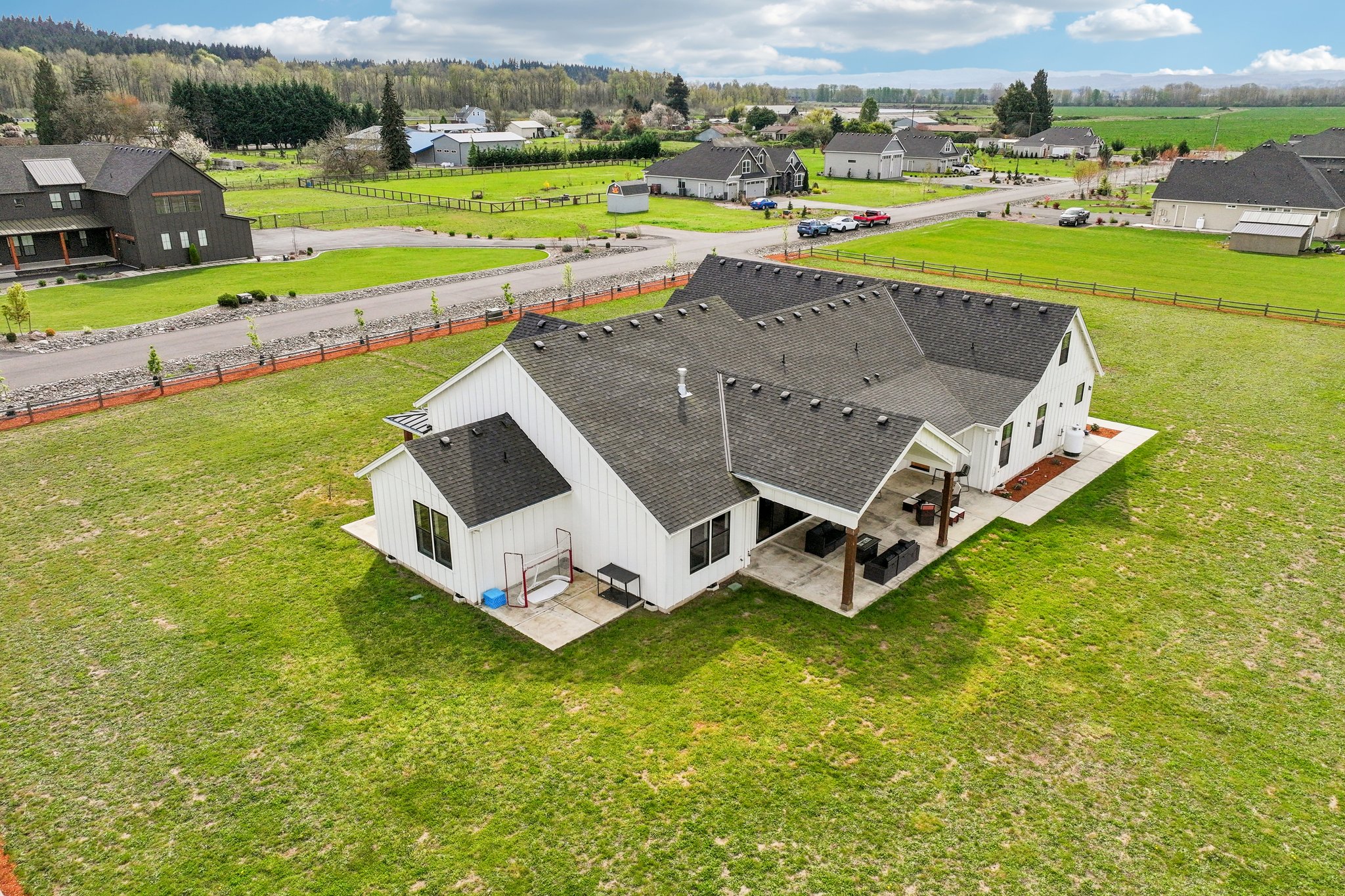 Tulip Ln-S1104-018 (2).jpg