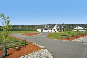 Tulip Ln-S1104-002.jpg