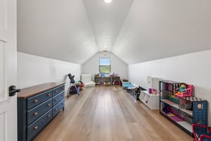 Tulip Ln-S1104-048.jpg