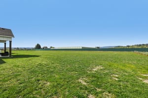 Tulip Ln-S1104-058.jpg