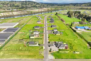 Tulip Ln-S1104-001 (2).jpg