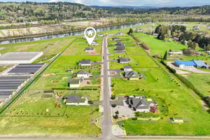 Tulip Ln-S1104-002 (2).jpg