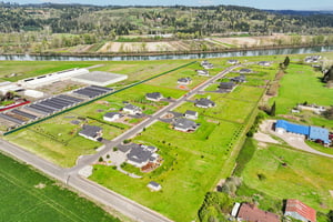 Tulip Ln-S1104-003 (2).jpg