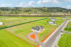 Tulip Ln-S1104-004 (2).jpg