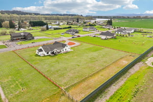 Tulip Ln-S1104-009 (2).jpg