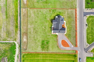 Tulip Ln-S1104-014 (2).jpg