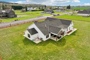 Tulip Ln-S1104-018 (2).jpg