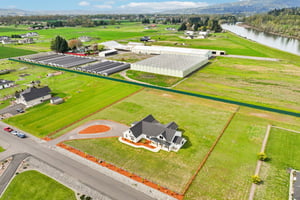 Tulip Ln-S1104-020 (2).jpg