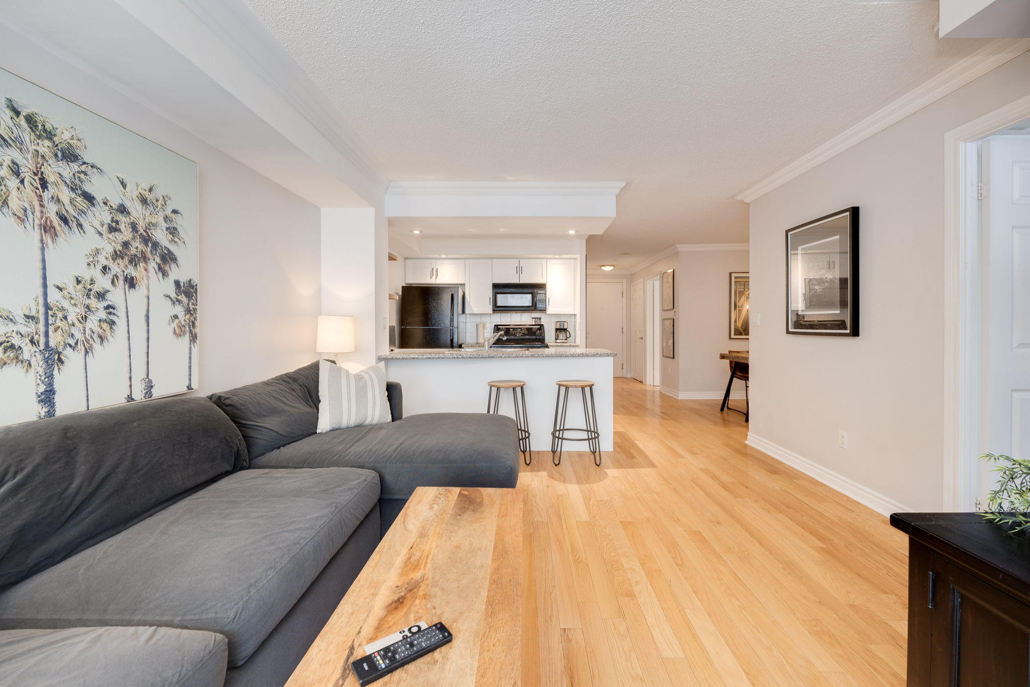 Toronto property showcase — delivered property photograph 10