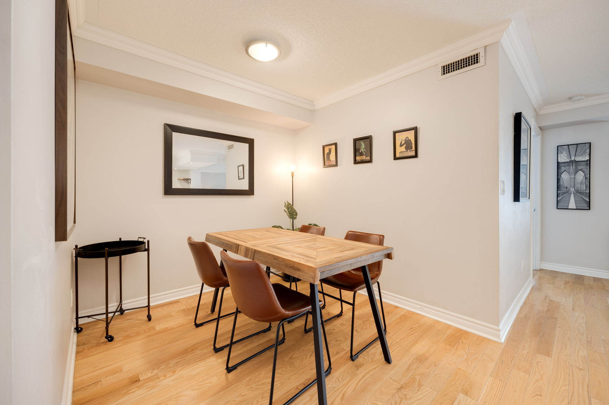 Toronto property showcase — delivered property photograph 12