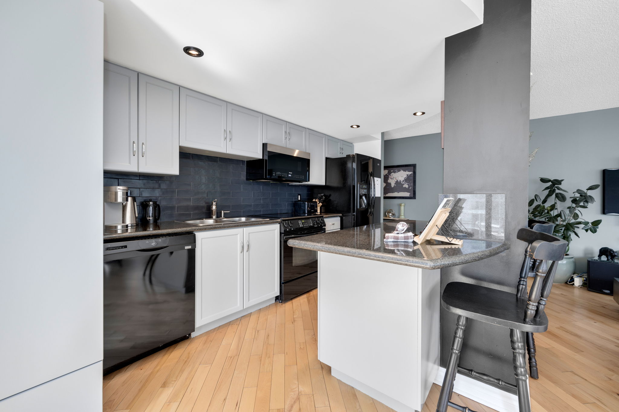 Toronto property showcase — delivered property photograph 10