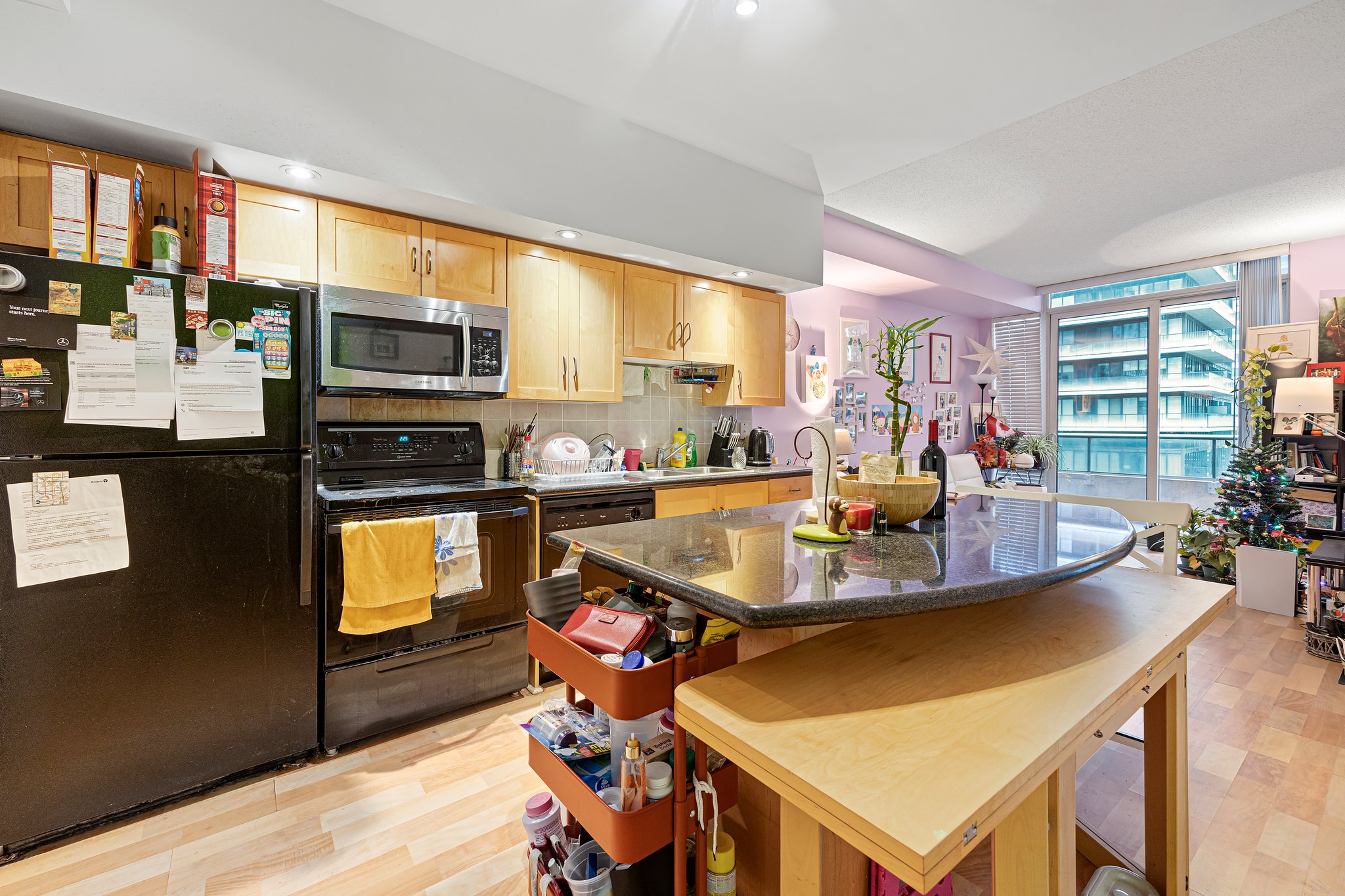 Toronto property showcase — delivered property photograph 5