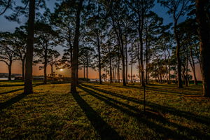 34-Mediterranean Manors Common Area