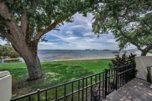 Patio View 1