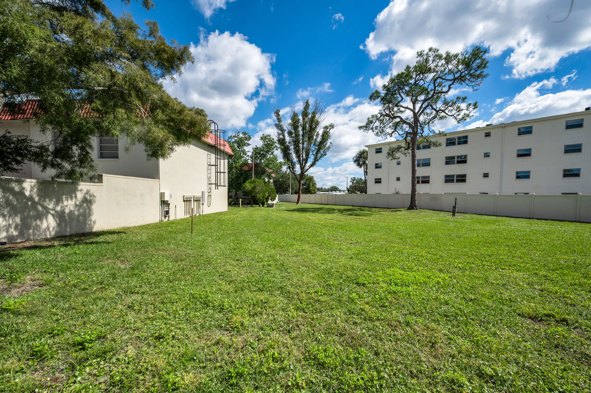 Backyard3