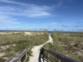  Photo 49