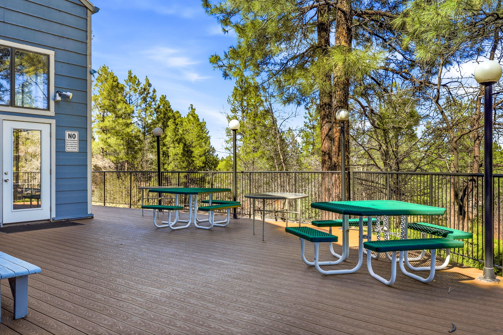 Outdoor picnic area surrounded by tall pines—perfect for relaxing or entertaining.