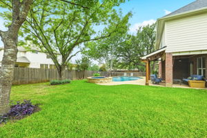 Back Yard/Pool