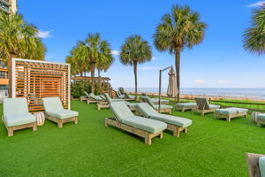 Amenities (15)