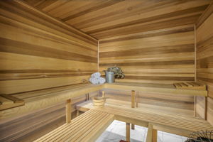  Photo 50