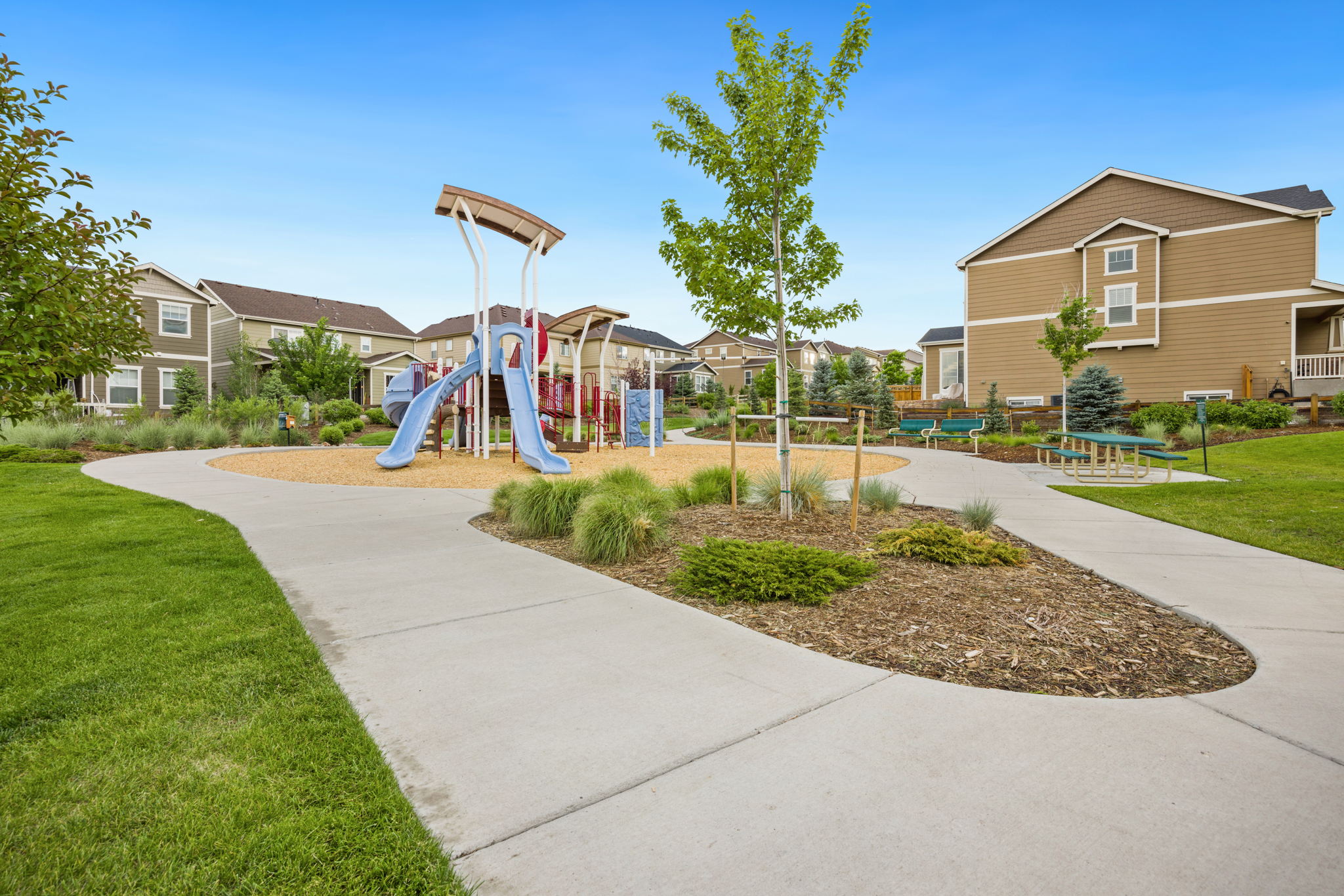 2702 Rising Moon Way, Castle Rock, CO 80109, USA Photo 48