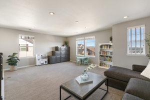 2702 Rising Moon Way, Castle Rock, CO 80109, USA Photo 17