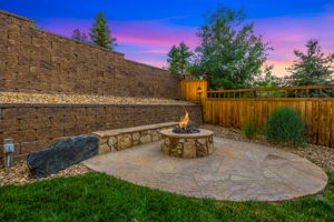 2702 Rising Moon Way, Castle Rock, CO 80109, USA Photo 53