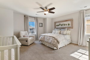 2702 Rising Moon Way, Castle Rock, CO 80109, USA Photo 23
