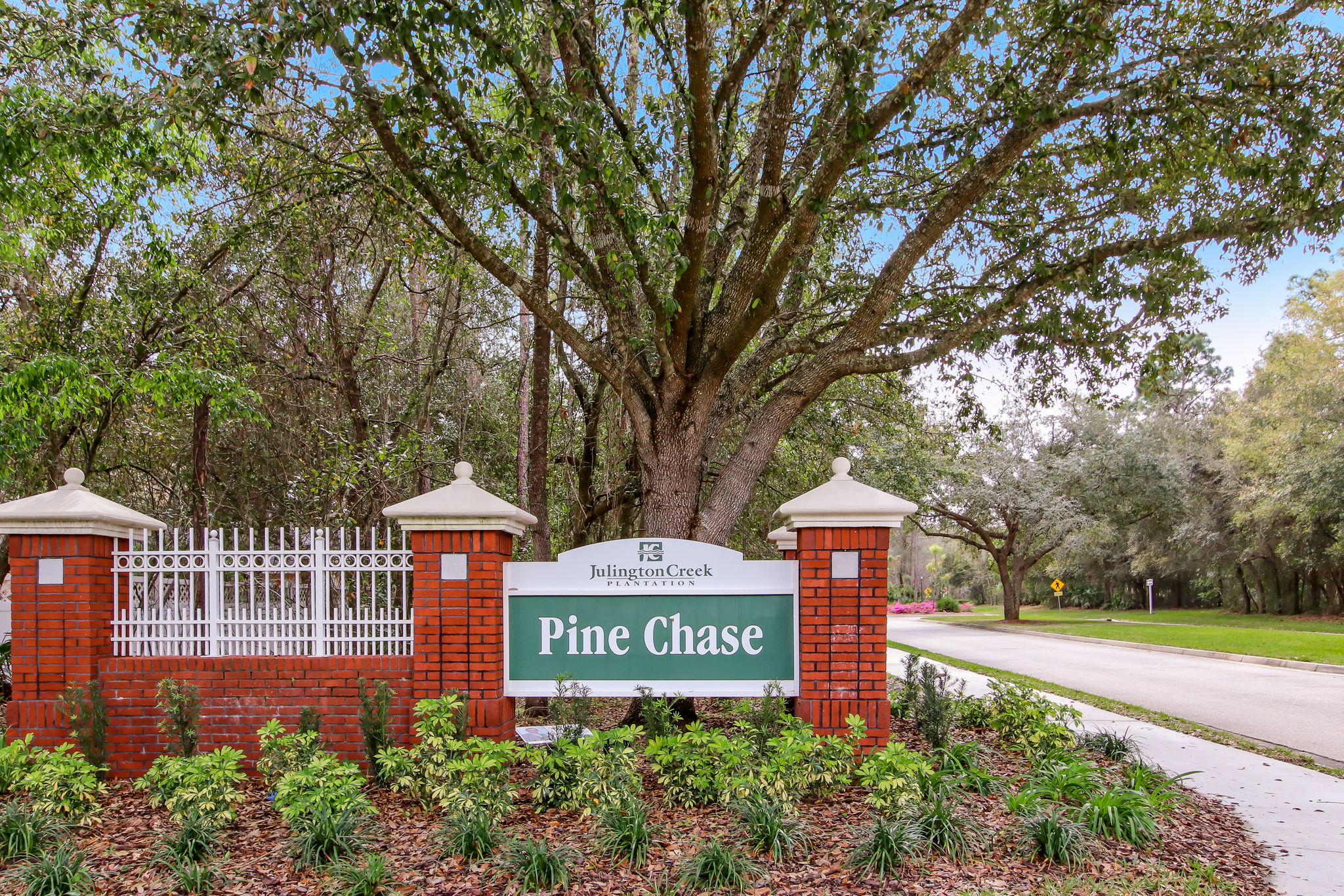 Pine Chase