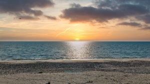 Aerial - 20 Feet - SUNSET