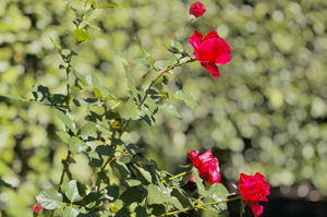  Photo 32