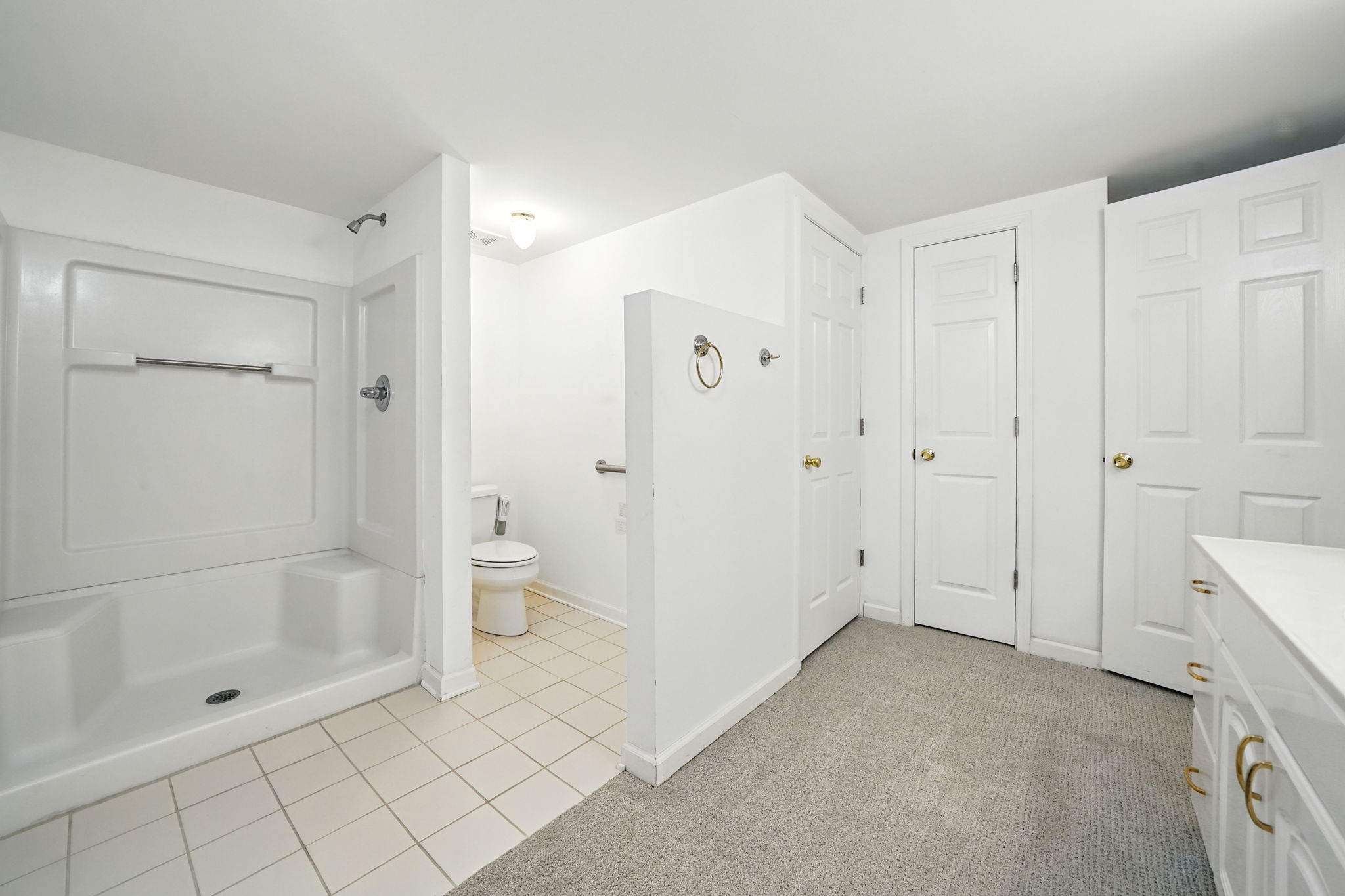 Basement Bathroom