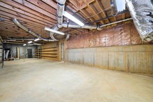 Unfinished Basement