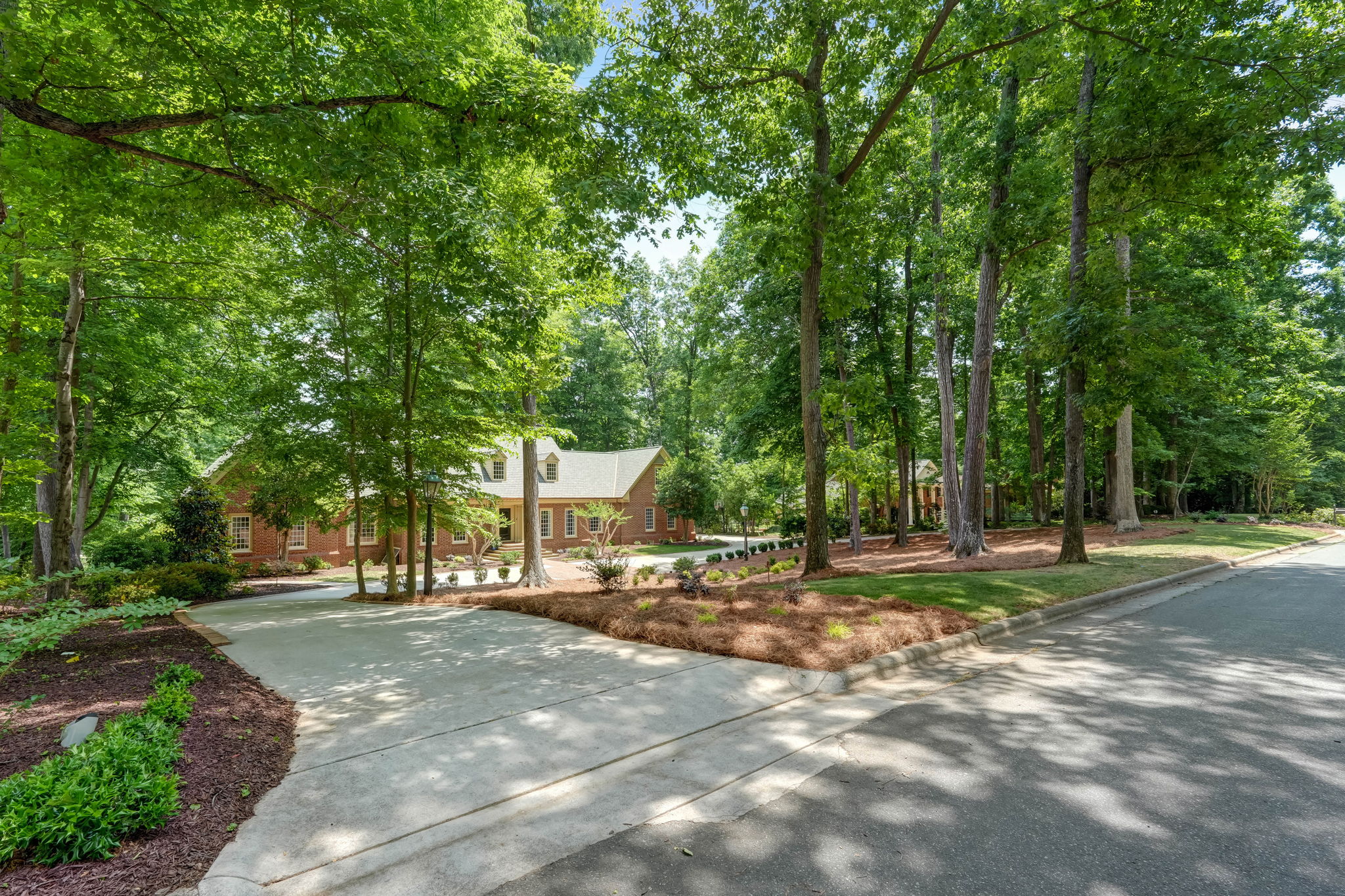 Front Yard