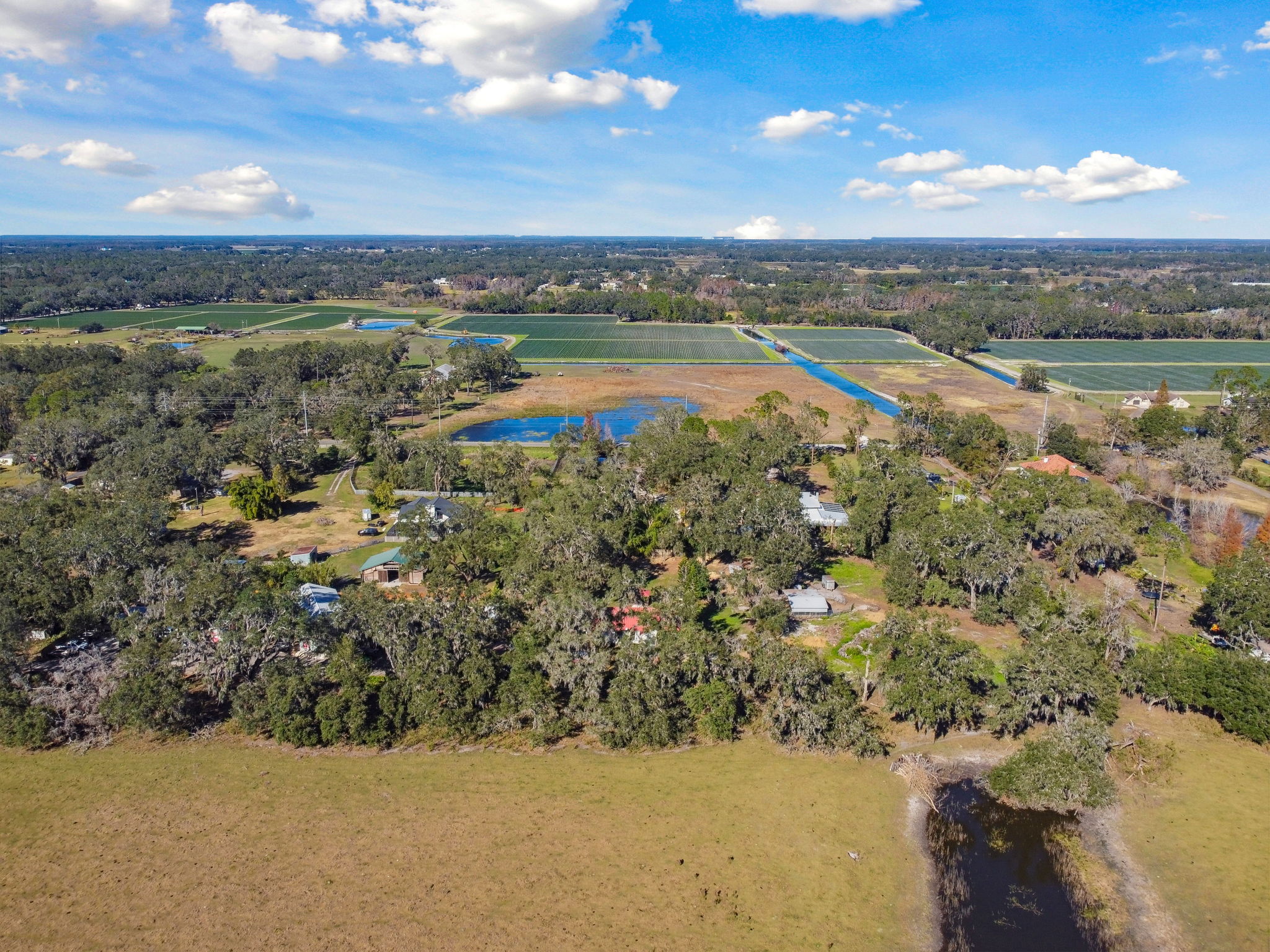 DJI_0451