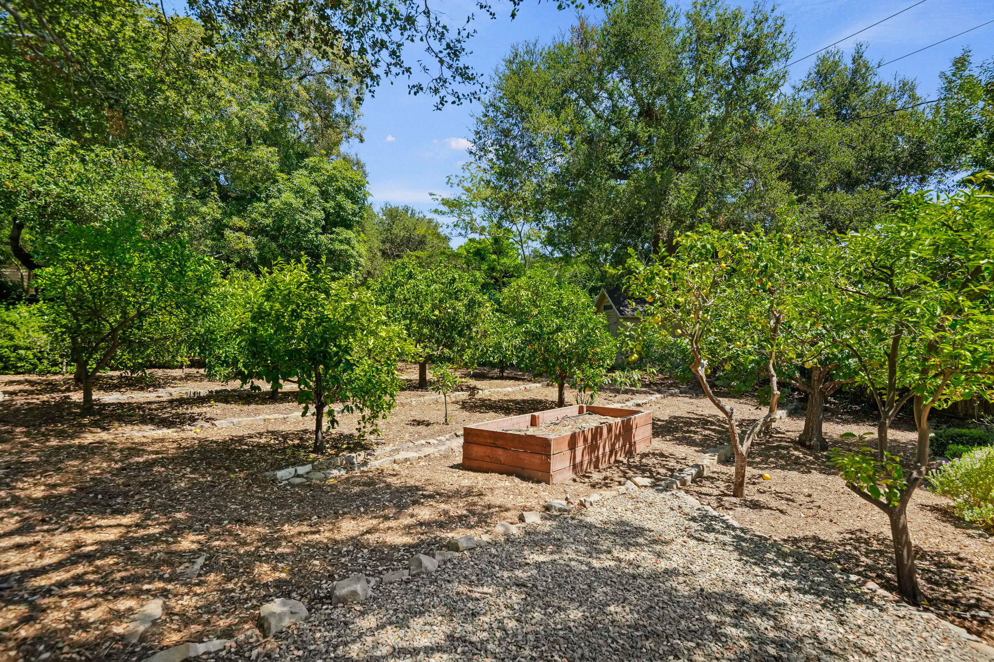 43-Garden