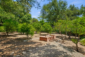 43-Garden