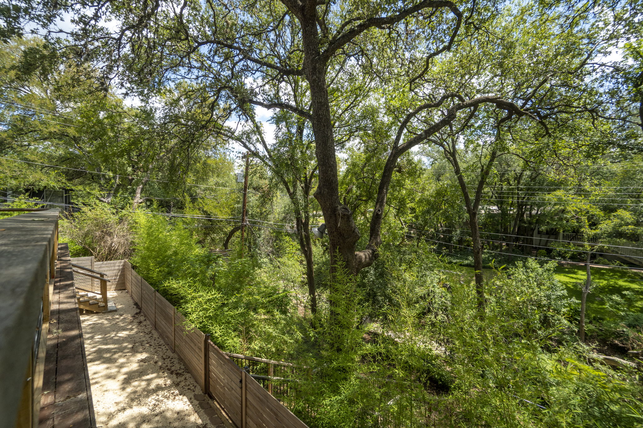 2707 Pecos St, Austin, TX 78703, USA Photo 50